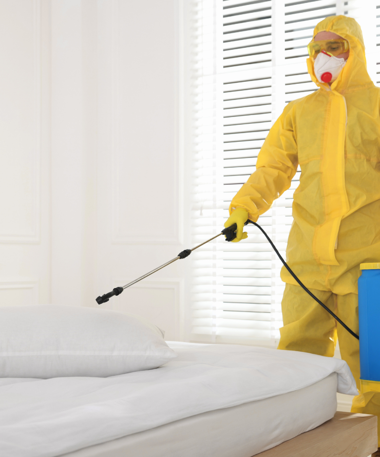 Professional Pest Control Team in Exeter